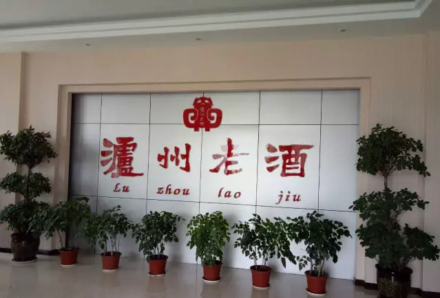 广西谢氏宗亲总会走进四川考察爱体育(中国)
等企业